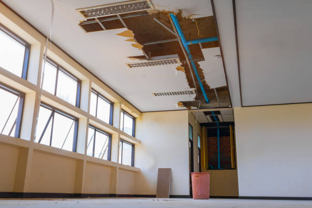 Best Flood restoration services  in Woodsboro, MD