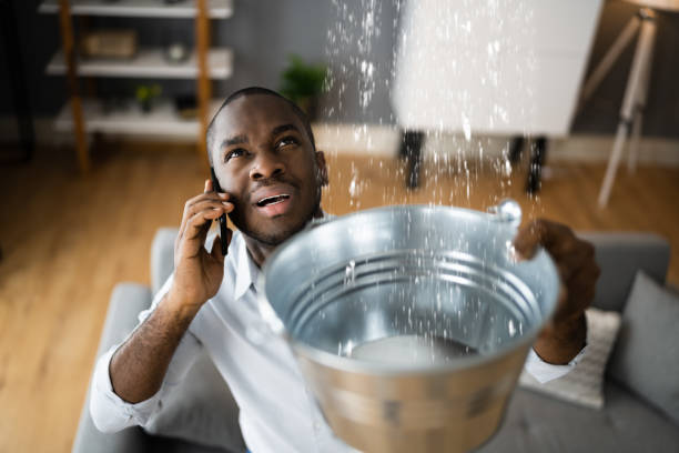 Best Water damage contractors near me  in Woodsboro, MD
