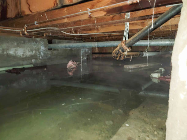 Best Water damage restoration specialists  in Woodsboro, MD