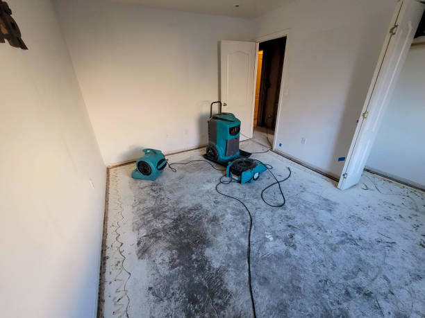 Best 24-hour water damage restoration  in Woodsboro, MD