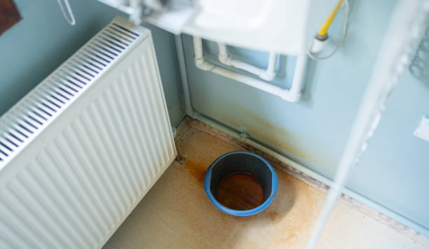 Best Water damage restoration process  in Woodsboro, MD