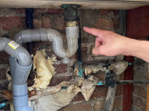 Best Fire Damage Restoration  in Woodsboro, MD