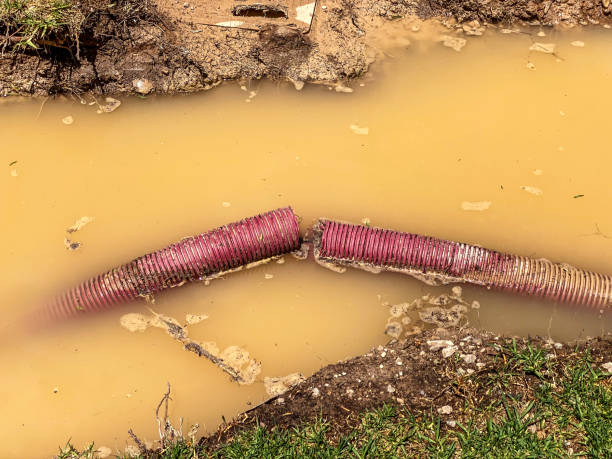 Best Residential water damage restoration  in Woodsboro, MD